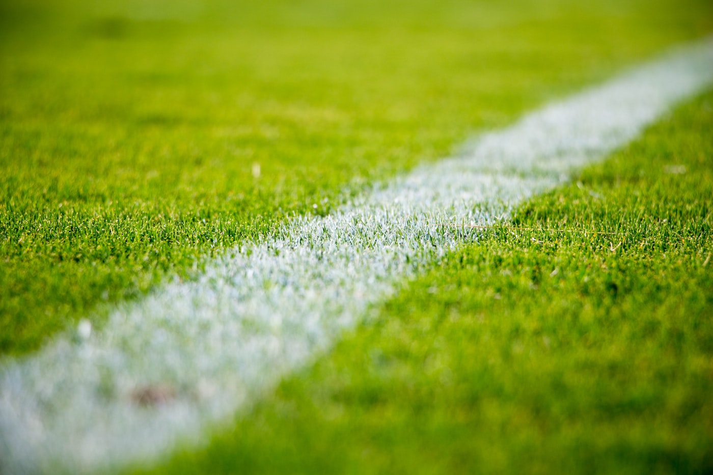 xc sports 篮球数据分析